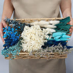 xin's convey DIY Natural Dried Flower Set, Blue Large Package with Stem Flowers for Vases, Handmade Creative, Door Hanging Wreath, Table Centerpiece Mini Dried Flower Bouquet (Peacock Blue)