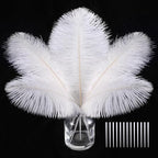 SOGUGOM White Craft Ostrich Feathers - 30PCS 6-8 inch Ostrich Feathers Kit for Centerpieces, Kindergarten Crafts, Hats and DIY Projects(White)
