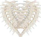 50pcs 2-1/2" Mini Satin Ribbon Bows with Twist Ties for Crafts Gift Wrapping Packing Christmas Decoration (2.5"-Ivory)