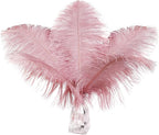 12pcs Natural Lotus Pink Ostrich Feathers 12-14inch (30-35cm) for Wedding Party Centerpieces，Flower Arrangement and Home Decoration.