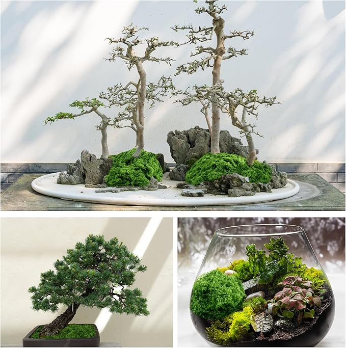 Draupnir Fake Green Moss for Plants Indoor, 5.3OZ Fake Moss for Crafts Preserved for DIY Decorative mossTable Centerpieces Decor Fairy Garden Floral Wedding (150g)