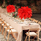 80 Pcs Large Natural Ostrich Feathers Plumes 14-16 Inch Bulk for DIY Crafts Wedding Party Centerpiece Vase