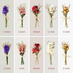 10/12/24 Pack Dried Flowers for Vase Various Mini Bouquet Dried Small Wildflowers Natural Real Flowers Bulk for Crafts DIY Wedding Decor (10, Classic Color1)