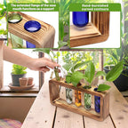 Glass Plant Propagation Station with 5 Test Tubes Colorful Planter Vase Birthday Gifts for Women in Wooden Stand