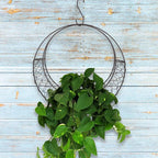 Air Plants Holders Wire Wreath Frame Hanger, 11 inch Moon Shape Wreath Form Hanging Plant Holder Metal Hanging Orchid Planter Plant Basket Holder, Succulent Wire Wreath Frame with Hook (Pack of 2)