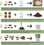 10 Herb Seeds Garden Starter Grow Kit with White Pots, Markers, Nutritional Soil, Watering, Herb Clipper, Complete Indoor Potted Plant Growing Set for Kitchen DIY