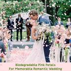1500Pcs Real Hydrangea Pink Dried Flower Petals - 1.06 oz Natural Dried Pink Petals for Romantic Night, Her Set, Proposal Decor, Flower Girl Basket (30g)