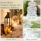 3000+Pcs Real Ivory White Dried Hydrangea Flower Petals - 100% Natural Creamy White Flower Petals for Wedding Confetti, Romantic Night Decor, DIY Handcrafts (2.12oz)