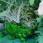 Babenest Acrylic Crushed Ice Rocks, 150 PCS Fake Crystals Plastic Ice Cubes Diamonds Gems for Vase Fillers, Home Decoration, Table Scatter, Event, Wedding, Arts & Crafts (Green)