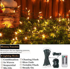 Tcamp 33ft 100LED Battery Operated Christmas Lights Outdoor Indoor, Battery Christmas Tree Lights with Remote Timer, 8 Modes Battery String Lights for Xmas Tree Wreath Bedroom Decor (Warm White)