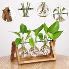 YIBOT Plants Propagation Stations,Desk Plant Terrarium with Retro Wooden Stand,Plant Lover Gifts for Women for Hydroponics Plants Home Garden Wedding Decor(3 Bulb Vase)