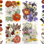 80P Vintage Pastel Dried Flowers for Crafts, Real Natural Pressed Flowers in Retro Soft Tones for Resin Art, DIY Crafts, Jewelry, Candle Decor & Scrapbooking – Tweezers Included
