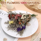 12/24 Pack Dried Flowers for Vase Various Mini Bouquet Dried Small Wildflowers Natural Real Flowers Bulk for Crafts DIY Wedding Decor (12, White)