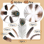 Holmgren 48pcs Natural Feathers Bulk - 6 Styles Assorted Peacock, Pheasant, Turkey Feathers for Craft DIY Jewelry Hat Wedding Home Party Decoration