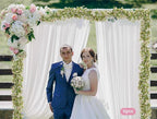 2 Pcs 5.8ft Artificial Baby Breath Flower Vines, Babys Breath Artificial Flowers Real Touch Faux Gypsophila Hanging Fake Baby's Breath Garlands for Wedding and Baby Shower Decor（Pink）