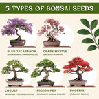 AVERGO Bonsai Tree Kit for Beginners – 5X Unique Japanese Bonzai Trees | Complete Indoor Starter Kit for Growing Bonsai Plants with Tools & Planters – Gardening Gifts for Women & Men