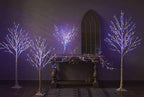 Hairui Lighted Birch Branches Battery Operated 70L 18IN Warm White and Multi Color Fairy Lights 8 Function for Halloween Home Christmas Decor