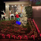 YEGUO 165ft 500 LED Christmas Lights Outdoor Waterproof, Red and Green String Lights Plug in, Green Wire Twinkle Tree Lights Indoor with Timer Memory 8 Modes