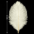 Beige Large Ostrich Feathers Bulk- 16-18 inches 10pcs for Wedding Party Centerpieces,Flower Arrangement and Home Decorations (Beige)
