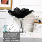 Holmgren Black Ostrich Feathers Bulk - 20pcs Making Kit 22 Inch Natural Ostrich Feathers for Vase, Floral Arrangement, Wedding Party Centerpieces and Halloween Home Decor (Black)