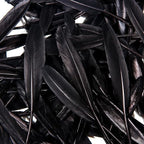 FeelfunFeather 120pcs Black Goose Cochettes Feather Natural Bulk 4-6 inch 10-15cm for Wedding Party Christmas Halloween Decorations DIY Crafts