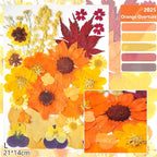 12Types Real Dried Pressed Flowers Sunflowers for Crafts Resin Jewelry Making, Fall Floral Cake Decorations-Orange