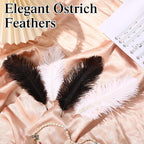 Crowye 100 Pcs Ostrich Feathers Bulk for Centerpieces Craft Ostrich Feathers for Vase Wedding Masquerade Party Home Costume Decorations (6-8 Inch,Black,White)