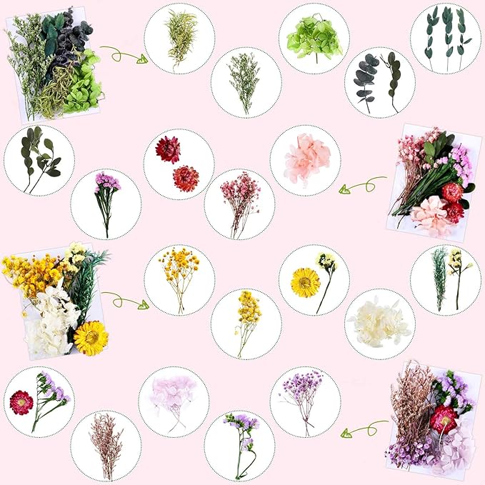 Nuanchu 4 Bags Natural Dried Flowers Leaves Set, Mixed Dried Hydrangeas, Daisies, Natural Flowers Colorful Real Dry Flowers for DIY Candle Resin Jewelry Crafts Pendant Floral Decoration Supplies