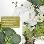 White Orchids Artificial Flowers with Vase Fake Flower in Vase Artificial Eucalyptus Stems in Glass Vases with Faux Water Faux Orchid with Evergreen Plant Arrangement for Dining Table Centerpiece