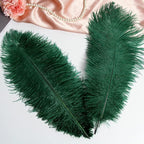 THARAHT Blackish Green Ostrich Feathers 12pcs Large Natural Bulk 14-16Inch 35cm-40cm for Wedding Party Centerpieces Mardi Gras Decoration Feather