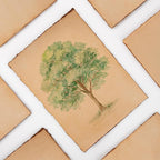 Wanderings Handmade Antique Deckle Edge Blank Cards - 4"x6" Package of 50 - Mixed Media Cards for Announcements Invitations Crafts - Thick Deckled Edge Paper 150 GSM Recycled Paper
