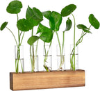 YIBOT Propagation Stations, Plant Terrarium with Wooden Stand, Birthday Gardening Gifts for Women Mom Plant Lovers,Home Office Desk Decor, 5 Glass Test Tubes Vases