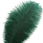 Ballinger Green Long Ostrich Feathers - 12Pcs 14-16inch Large Feathers for Tall Vase,Wedding Party Centerpieces and Holiday Home Decor