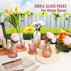 Glass Bud Vase Set of 12,Small Flower Vases in Bulk,Pink Mini Vintage Vase for Home Centerpiece, Parties, Wedding Decoration for Home Centerpiece, Parties, Wedding Decoration(12)