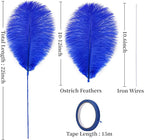 Holmgren Royal Blue Ostrich Feather - 20pcs Making Kit 22 Inch Large Ostrich Feathers for Vase, Floral Arrangement, Wedding Party Centerpieces Home Decorations (Royal Blue)