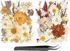 50pcs Boho Pressed Flowers Bulk, Vintage Dried Flower Leaves, Natural Fall Pressed Dried Flowers with Tweezer for DIY Crafts Resin Mold Candles Cake Bridal Scrapbooking Supplies