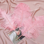 12pcs Natural Lotus Pink Ostrich Feathers 12-14inch (30-35cm) for Wedding Party Centerpieces，Flower Arrangement and Home Decoration.