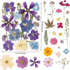 80PCS Spring Large Pressed Flowers Leaves , Real Nature Dry Flowers for Resin Craft, Larage Pressing Floral with Tweezers Set for DIY Jewelry Making Nail Card Scrapbook Art