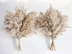 Pampas Grass Decor, Natural Dry Pampas Grass Small, Short Pampass Bulk for Farmhouse, Wall, Kitchen, Bedroom Decor, Office Decor (17 inch )