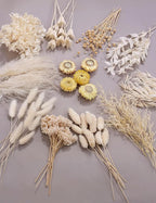 DIY Natural Dried Flower Kit Loose Dried Flowers for vases Off-White Dried Flowers with Stems Preserved Hydrangeas Mini Dried Flower Bouquets (White)