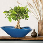Bonsai Pot - 18 Inch Ceramic Planter for Indoor Outdoor Plants Bonsai Tree Pot Modern Large Succulent Planter Decorative Plant Pot with Drainage Hole Blue