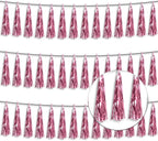 3P Metallic Fringe Tassel Banner Garland Foil Tinsel Streamer Wall Hanging Curtain Backdrop Banner for Parade Floats, Graduation Decorations, Wedding Party Decoration(Pink)