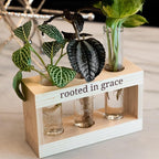 Rooted in Grace: Plant Propagation Stations: Plant Cutting Holder w/ 3 Glass Propagation Vases, Unique & Encouraging Christian Gifts for Women, Faith-Inspired Home Decor