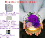 Valley of Rain & Forest Long-Lasting Real Flowers, Unique Floral Gift for You to Send Love for All Occasions, for Indoor Decoration (Dark Purple & Pink Roses Arrangement)