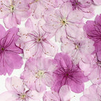 48 Pcs Dried Pressed Flowers for Resin DIY Art Crafts Natural Dry Sakura Larkspur Floral Epoxy Jewelry Real Flower Decor Cakes Phone Cases Candles Handmade Soap