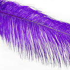 Happy Feather 16-18 inch Purple Ostrich Feathers Craft for Wedding Party Centerpieces Home Decoration DIY Craft Pack of 10