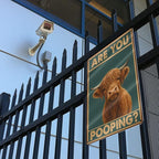 Funny Highland Cow Bathroom Sign - "Are You Pooping?" Vintage Western Tin Wall Decor for Restroom, Toilet or Farmhouse - 8" x 12" Metal Sign