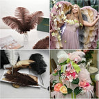 Ballinger Brown Big Ostrich Feathers - 24pcs 8-10inch Craft Feathers for Party Centerpieces, Flower Arrangement and Home Decor