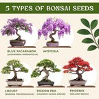 AVERGO Bonsai Tree Kit for Beginners – 5X Unique Japanese Bonzai Trees | Complete Indoor Starter Kit for Growing Plants with Bonsai Seeds, Tools & Planters – Gardening Gifts for Women & Men