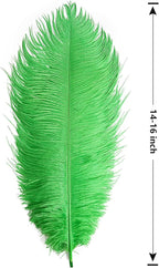 THARAHT Green Ostrich Feathers 12pcs Large Natural Bulk 14-16Inch 35cm-40cm for Wedding Party Centerpieces Mardi Gras and Home Decoration Feathers